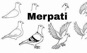 Cara Menggambar Burung Merpati Dengan Mudah